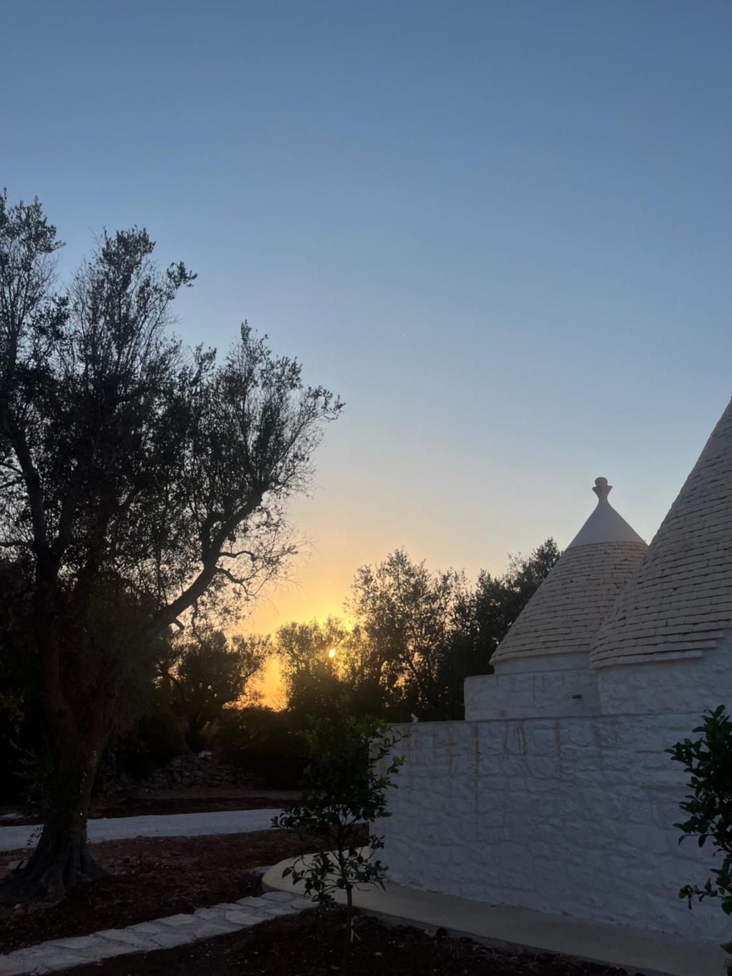 Trullo Gritti All'Antico Uliveto 산 미켈레 살렌티노 외부 사진