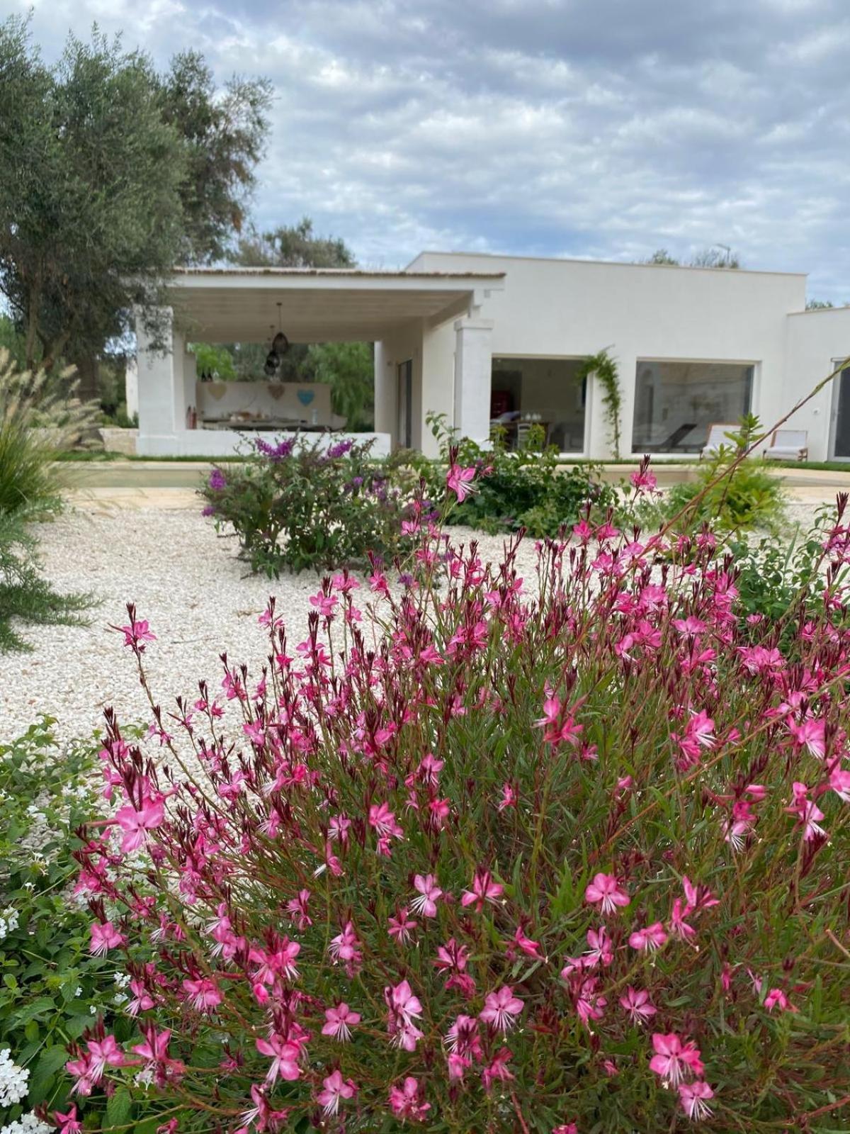 Trullo Gritti All'Antico Uliveto 산 미켈레 살렌티노 외부 사진