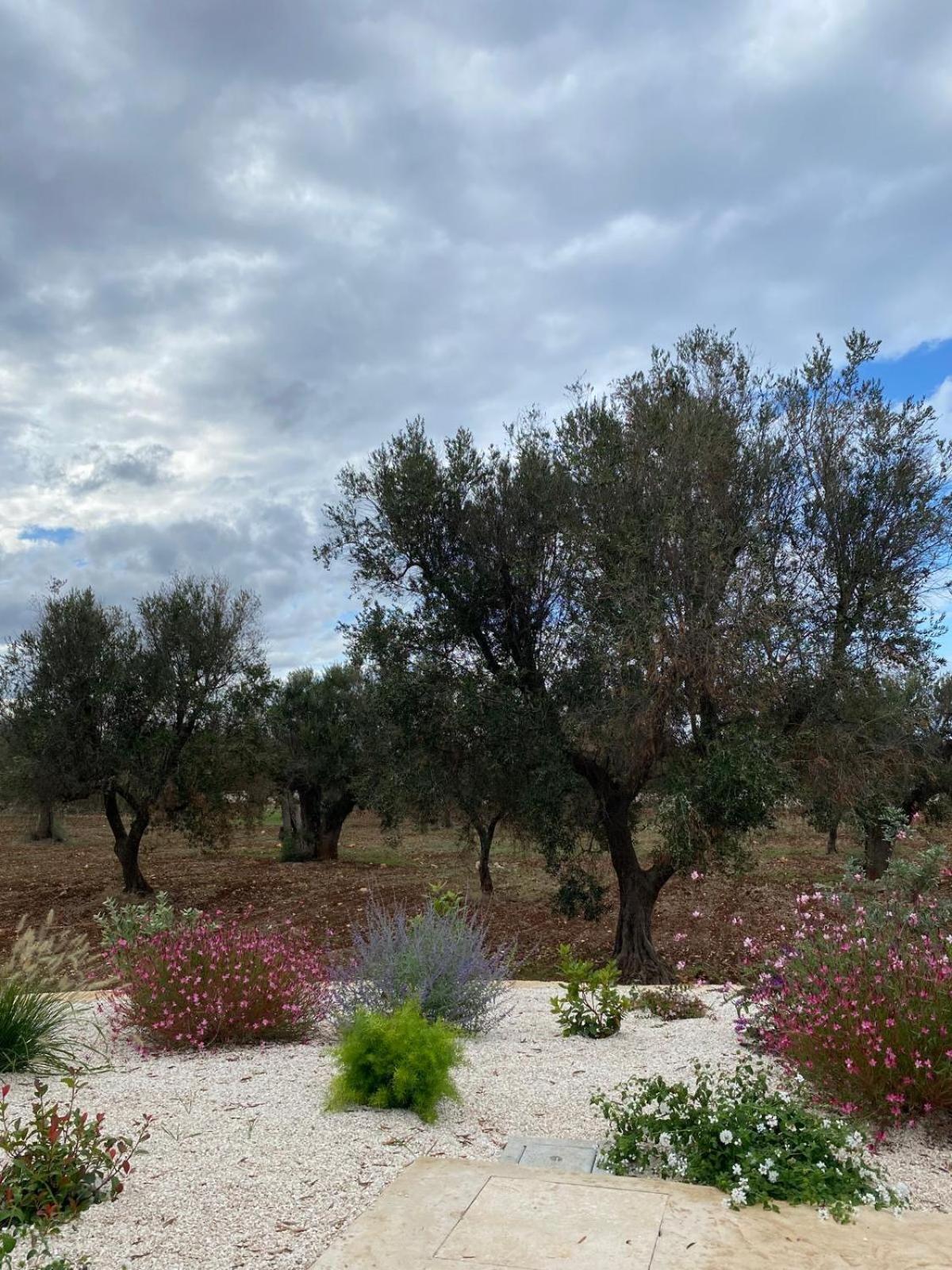 Trullo Gritti All'Antico Uliveto 산 미켈레 살렌티노 외부 사진