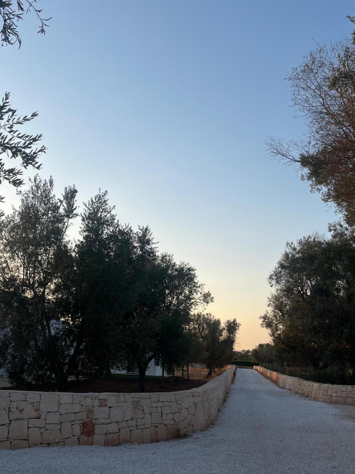 Trullo Gritti All'Antico Uliveto 산 미켈레 살렌티노 외부 사진